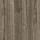 Armstrong Vinyl Floors: Titan Timbers 12 Silver Dapple